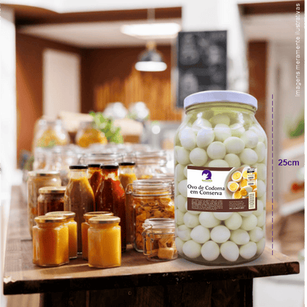Rótulo para Ovos de Codorna em Conserva (11x7cm) - 4 Cantos Arredondados